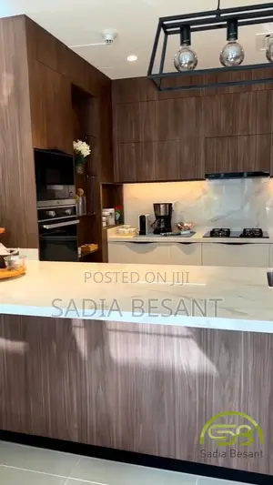 Luxury Kitchen Cabinet