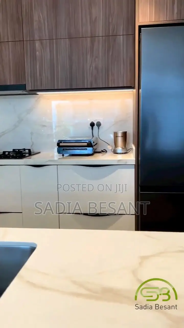 Luxury Kitchen Cabinet