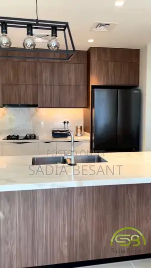 Luxury Kitchen Cabinet