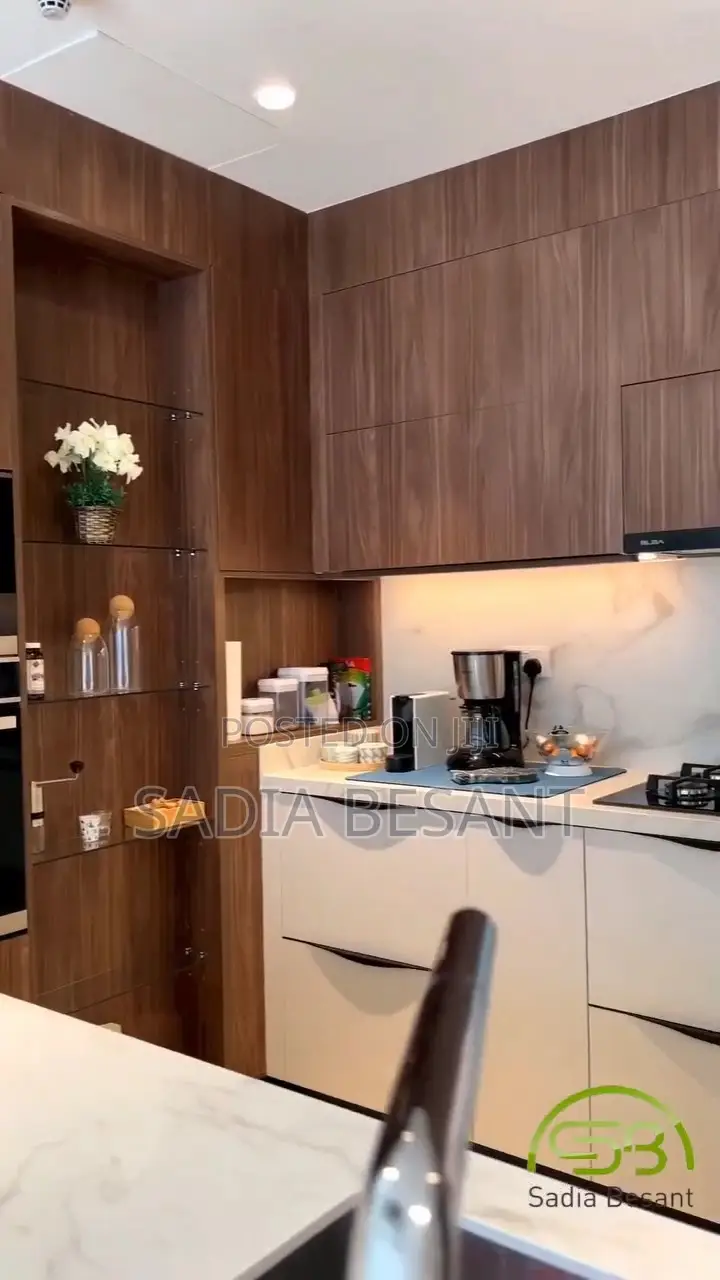 Luxury Kitchen Cabinet