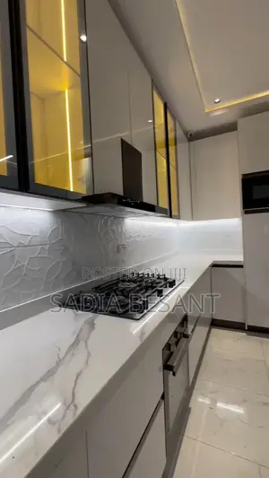 New Collection Kitchen Cabinet