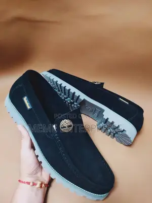 Timberland Shoe