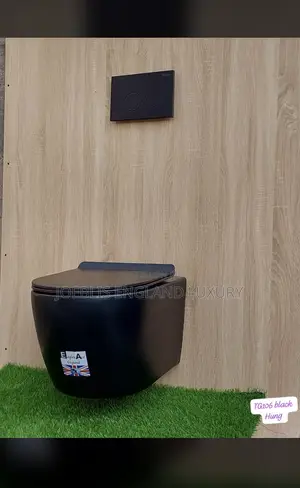 Matt Black Concealed WC England Standard