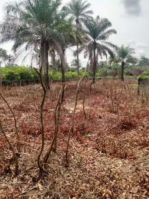 6 Plots of Land Strategically Located at Owerri Airport Road