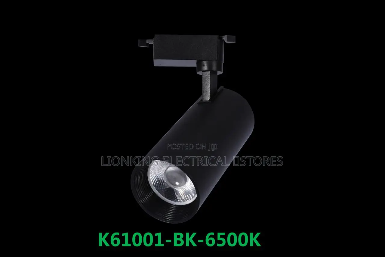 Track Lights 3 in 1