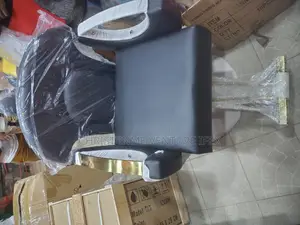 Salon Chair