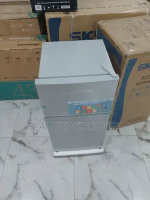 Environment Friendly Skyrun 85HC Refrigerators Double Door