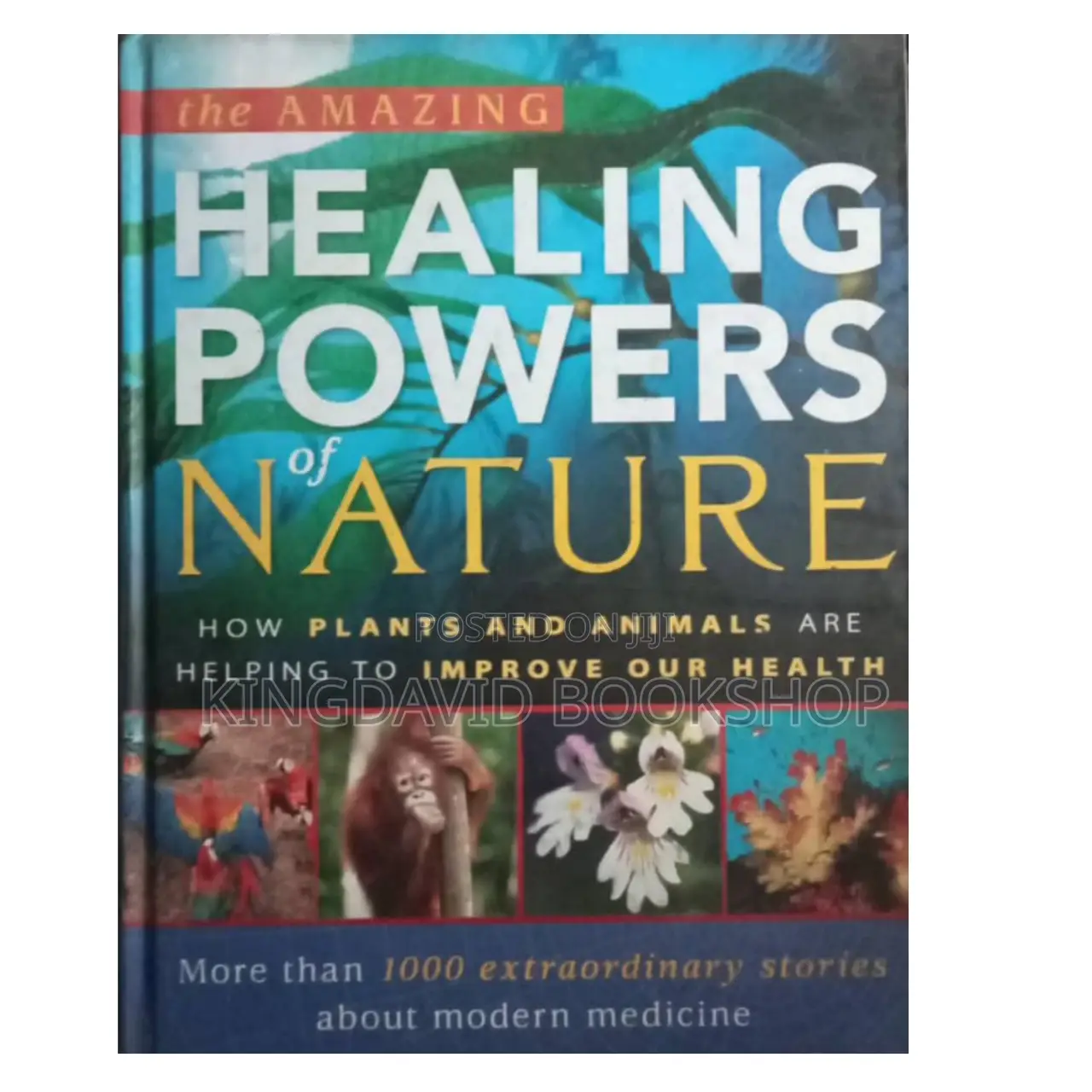 Healing Power Nature