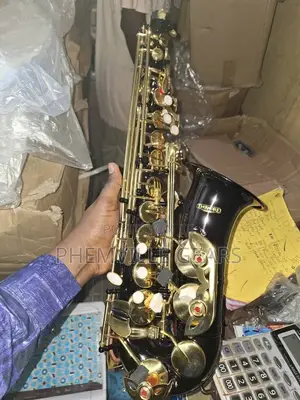 Evermore Alto Saxophone