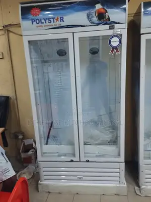 Chiller Double Door