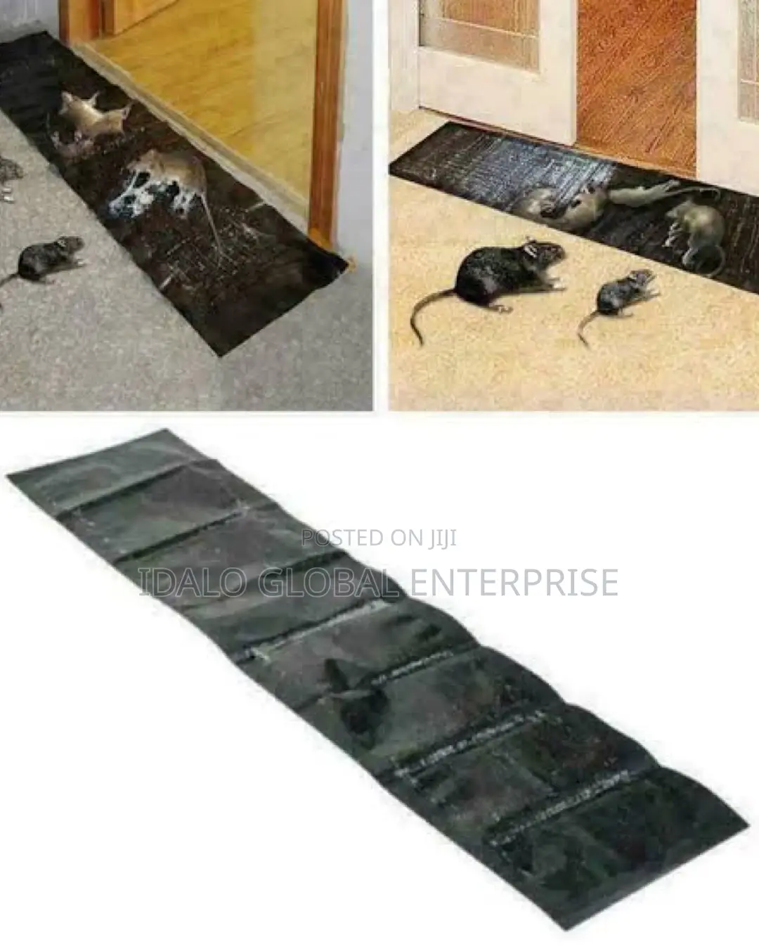 Sticky Mouse Traps - Rat Gum