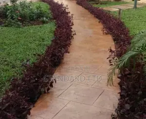 STAMPING FLOOR (American Standard)