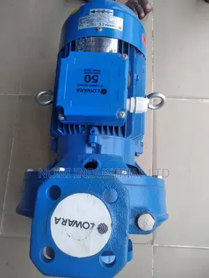 Lowara Water Pump 10p Available in Different Sizes