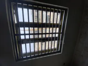 Window Burglary Protector