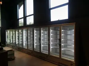 Doors Standing Display Chiller Refrigerator