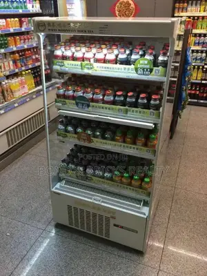 Display Chiller Refrigerator Stainless Steel