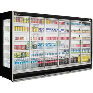 Six Doors Standing Display Chiller