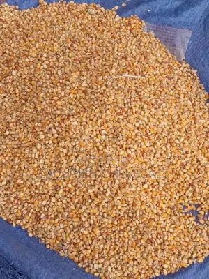 Yellow Maize, 1kg