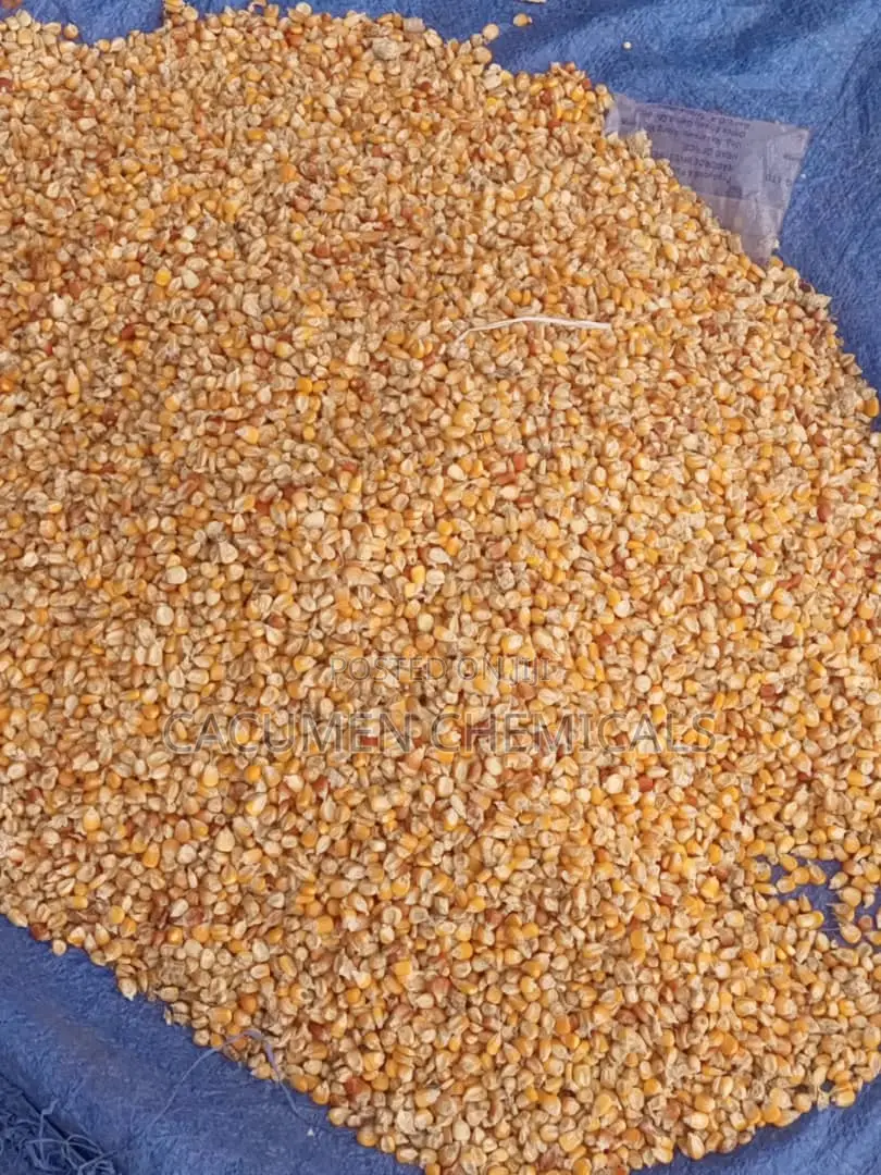 Yellow Maize, 1kg