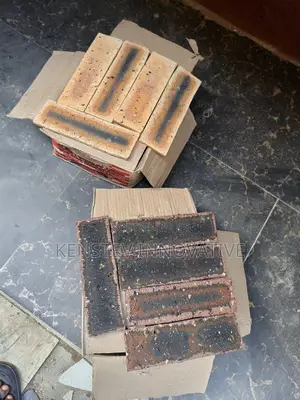 Quality South African Bricks Used for Modern House and Hotel