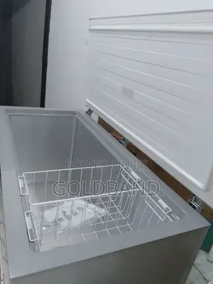 High Quality Hisense 420 Liters Fc-55dd Chest Freezer