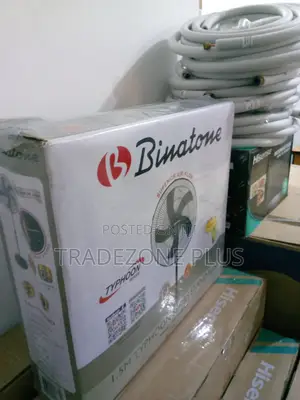 Best Selling Ts-1880km2 Standing Fan Binatone