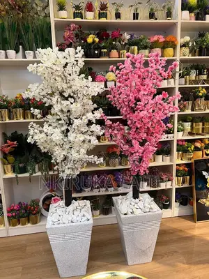 Beautiful Flower for Home Deco