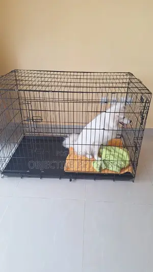 Heavy Weight Metal Collapsible Cage Size 1/6