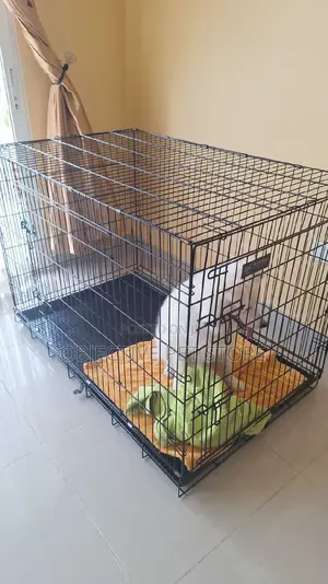 Heavy Weight Metal Collapsible Cage Size 1/6