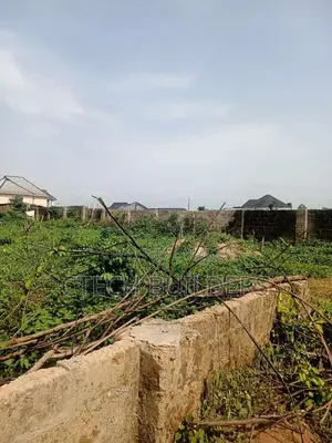 Fenced Land 100ft X 100ft at Airport Rd, Ulemon Evbuokhai