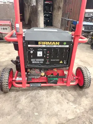 Few Months Used 12990 Firman Generator  Copper Coil