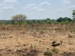 92000 Acres of Land for Sale at Kobape in a Very Good Locat