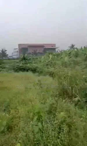 For Sale Land at Rukpakulishi , Eliozu