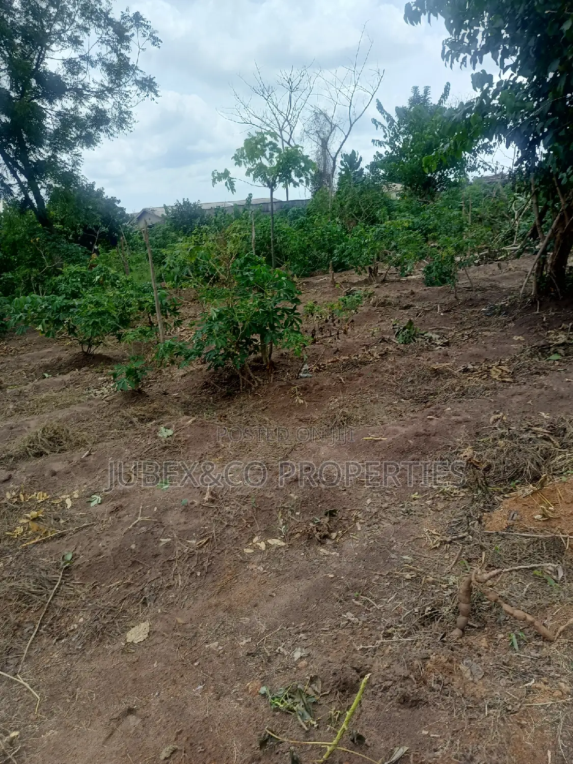 Half Plot for Sale at Aboru