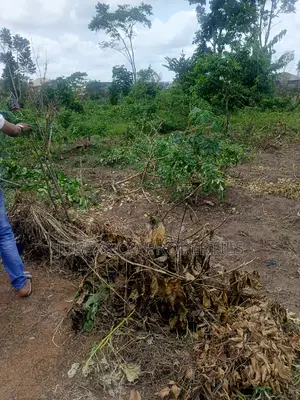 Half Plot for Sale at Aboru