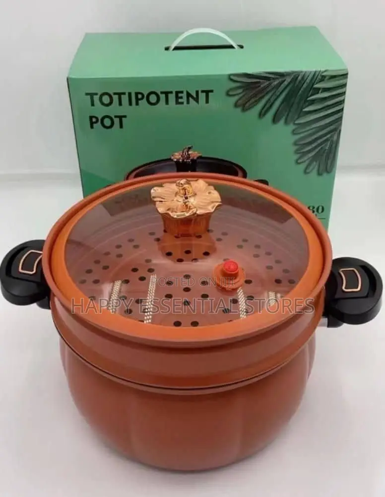 Quality Mini Pressure Pot With Cover