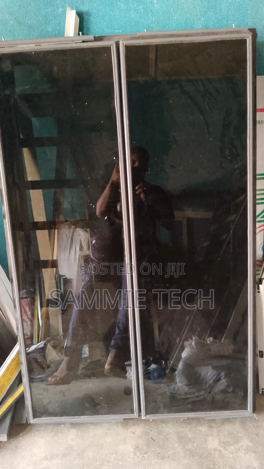 Frameless Window With Inner Bugularies and Net