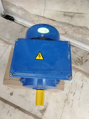 Single Phase Electric Motor