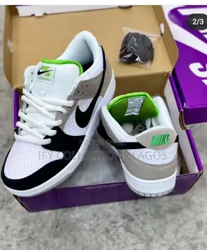 Nike SB Sneakers