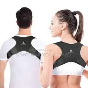 Clavicle Structure Belt