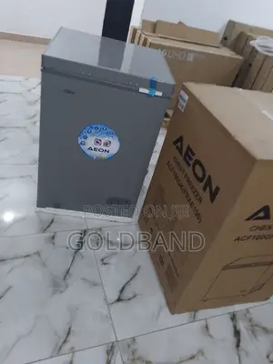 100 Liters Aeon Chest Freezer