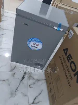 Efficient 100 Liters Aeon Chest Freezer