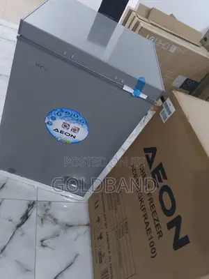 Eco Friendly 100 Liters Aeon Chest Freezer-