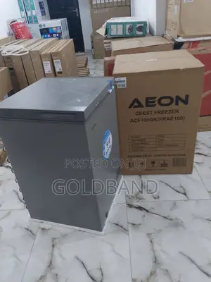 Quality 100L Aeon Chest Freezer