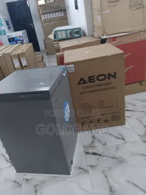 Best Quality 100L Aeon Chest Freezer