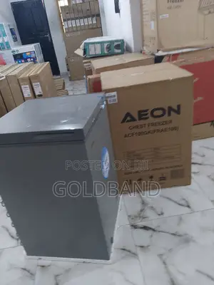 High Quality 100L Aeon Chest Freezer