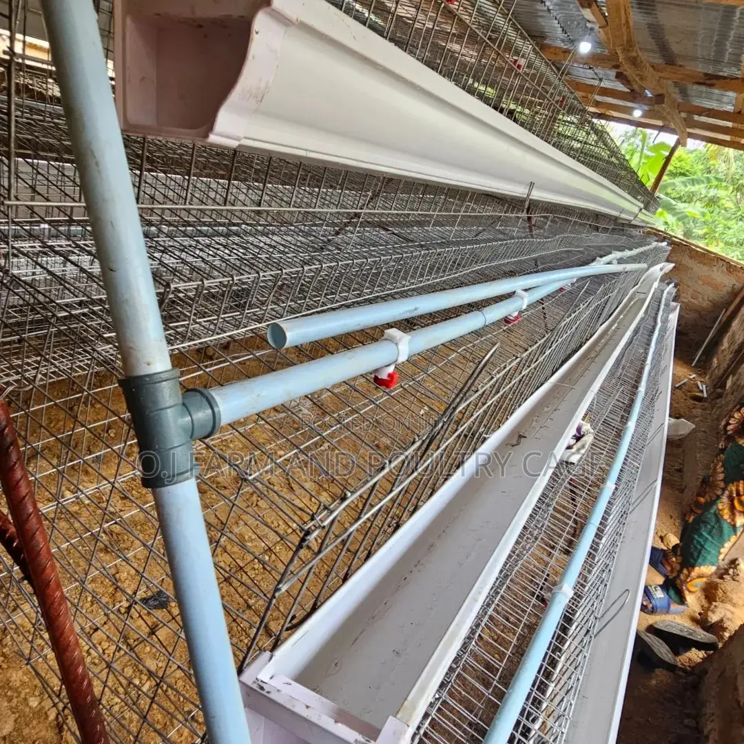 Layer Cage