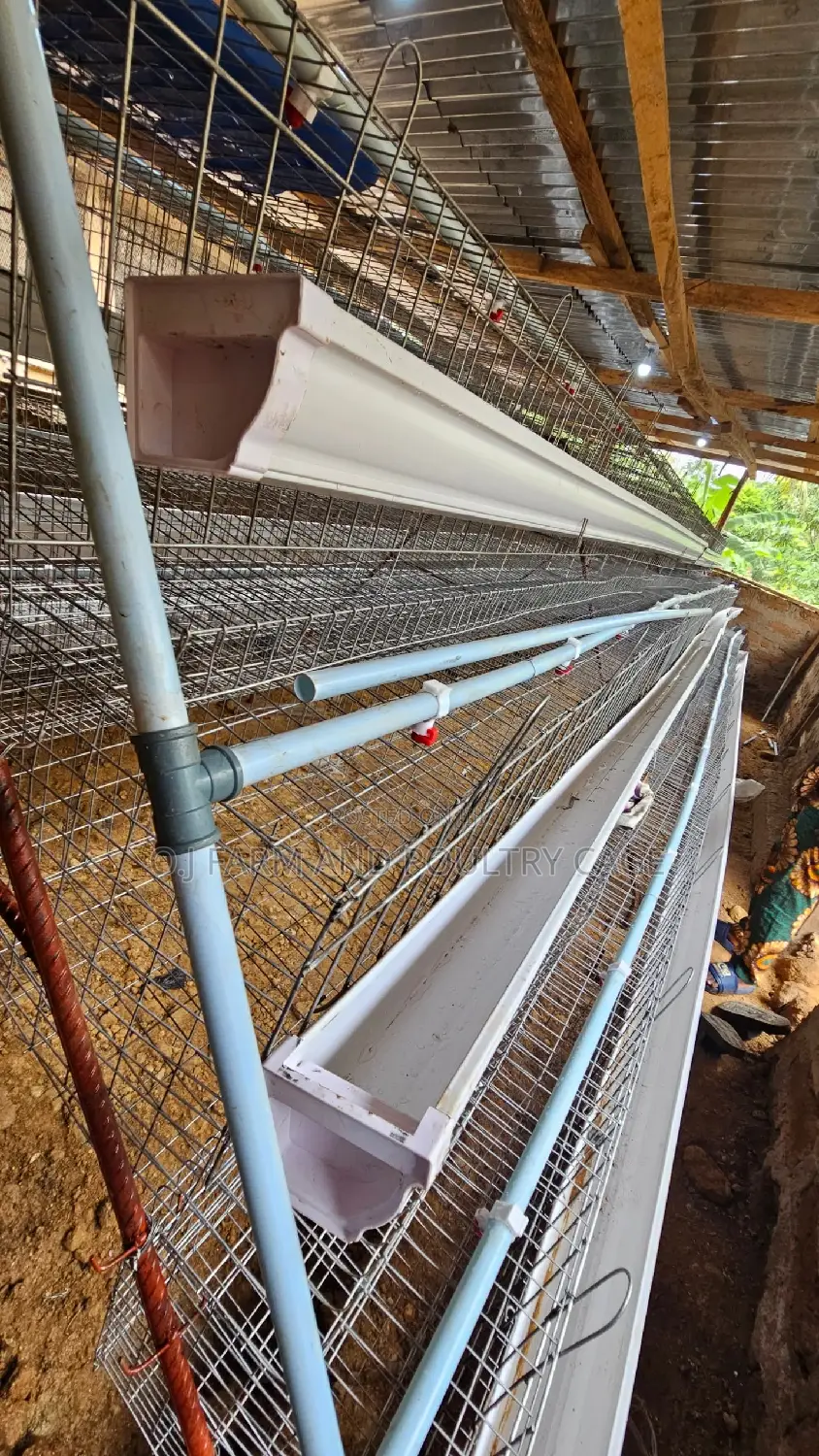 Layer Cage