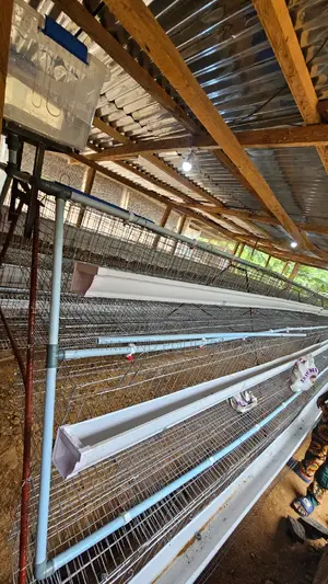 Layer Cage