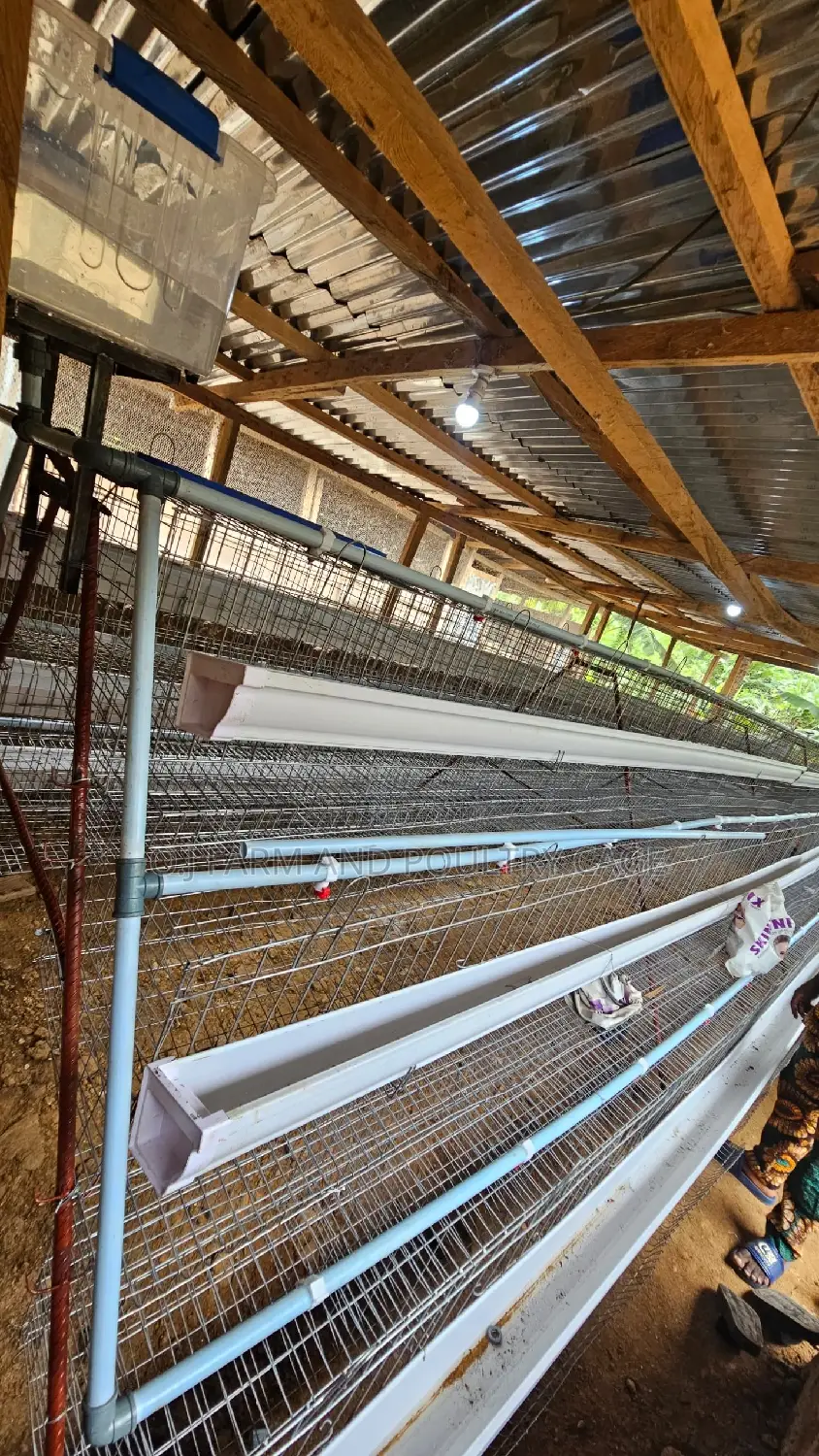 Layer Cage
